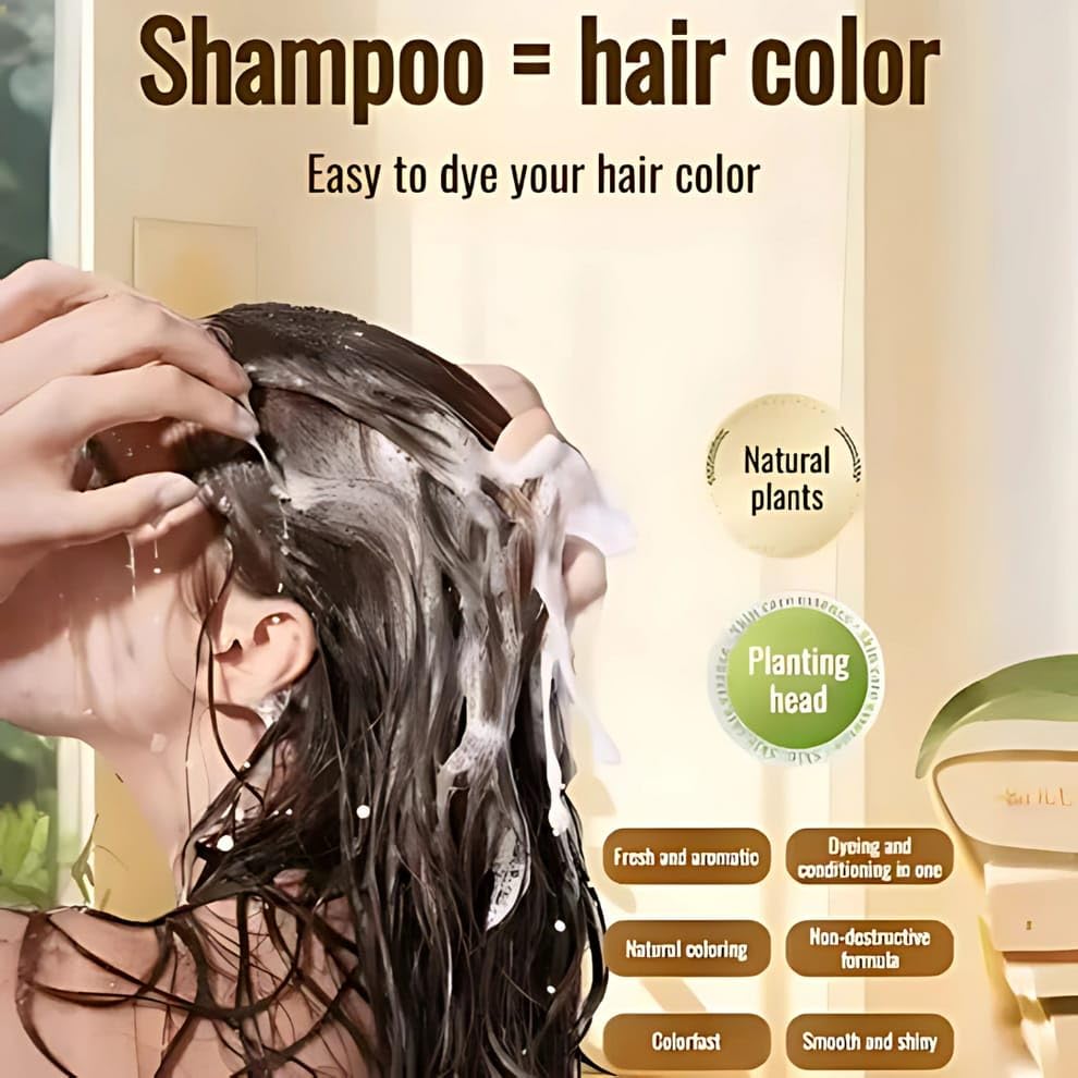Black Hair Dye Shampoo